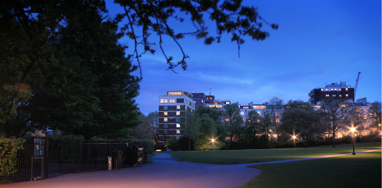 Primrose Hill night